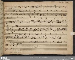Armida. Excerpts - Mus.1-F-49,11-7 : S, i, b