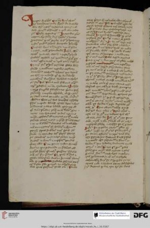 Determinatio articulorum Johannis Müntzinger