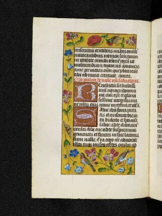 Oratio de nomine salvatoris