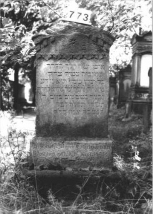 Grabstein 773