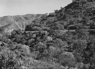 Hochland Eritreas : Straße im Hochland Eritreas