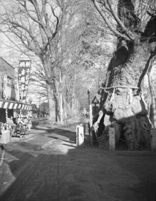 Kamakura Kaidō (Straße nach Kamakura) in Fuchū (Tokio) : Straßenbild