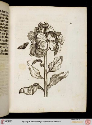 Tafeln und Text 11-20