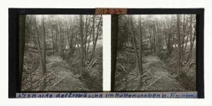 Alte Halde der Erzwäsche im Hüttengraben bei Fischbach, südliches Waldeck