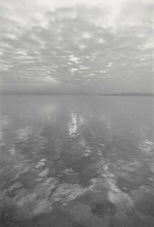 Morgenstimmung am See