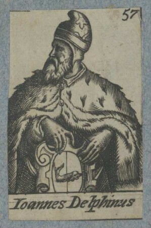 Bildnis des Ioannes Delphinus