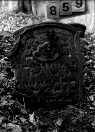 Grabstein 859 (neu: 117 ?): Grabstein 859 (neu: 117)