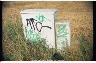 AMc