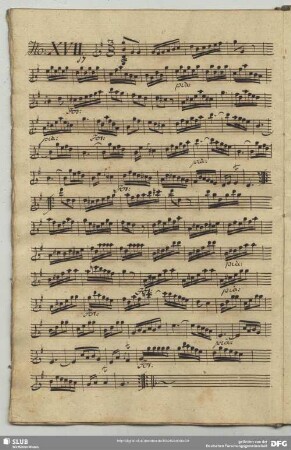 17. Anonymus, Instrumentalstücke, G-Dur