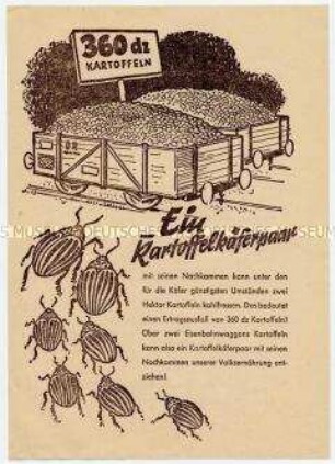 Flugblatt für ehrenamtliche Bekämpfung des Kartoffelkäfers auf den Feldern der DDR, zwecks Erfüllung des Volkswirtschaftsplans in der Landwirtschaft