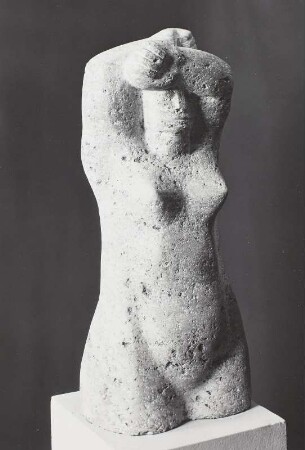 weiblicher Torso