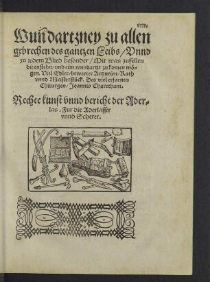 Wundartzney zu allen gebrechen des gantzen Leibs
