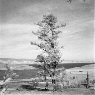 Sibirien. Landschaft am Baikalsee