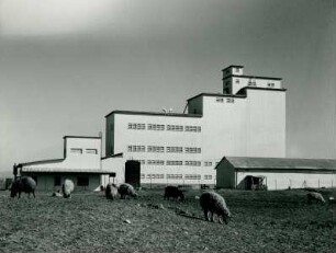 Getreidemühle, 1954-1956