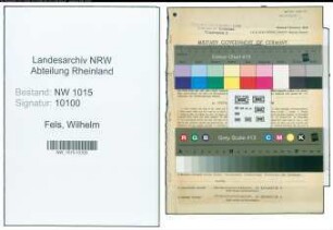 Entnazifizierung Wilhelm Fels , geb. 05.03.1900 (Finanzbeamter)