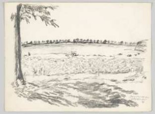 [Landschaftsstudie mit Baumallee]