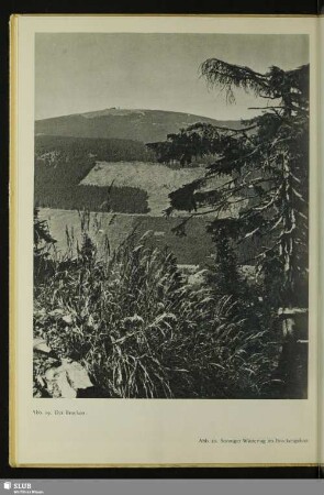 Der Brocken