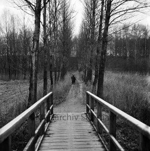 Wolkenweher Moor: Wanderweg nach Fresenburg: vorne die "Grünen Brücke" über die Trave, dahinter Personen auf dem Wanderweg, seitlich Bäume