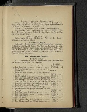 III. Gemeinde-Haushalt.