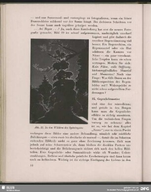 In den Wäldern des Spitzingsees