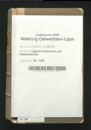 Salbuch der Vogtei Heiden von 1781 (Duplikat)