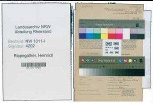 Entnazifizierung Heinrich Rippegather , geb. 13.10.1900 (Kassierer)
