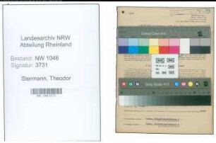 Entnazifizierung Theodor Stermann , geb. 20.04.1890 (Schneider)