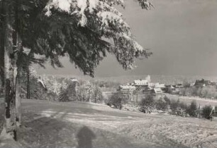 Altenberg (Erzgebirge). Stadtteilansicht vom Raupennesthang. Links Bahnhof und Schule