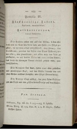 Familie IV. Fleckstreifige Falter.