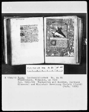 Stundenbuch — Beweinung Christi, Folio 169recto