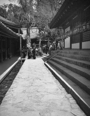 Nara. Kasuga-Taisha (768 gegründet, 1853 letzter Neubau des 20-Jahre-Turnus). Galerie mit heiligen Laternen