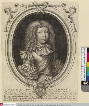 Louis d'Auphin de France