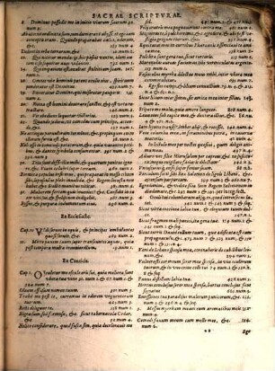 Blasii Viegas Commentarii exegetici in Apocalypsin Ioannis Apostoli