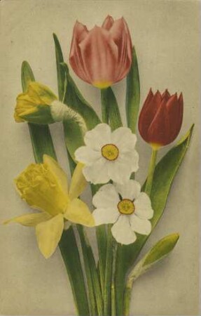 [Blumenstrauß]