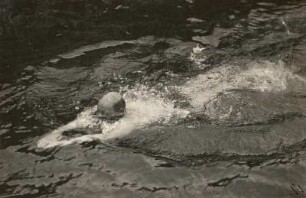 Schwimmen. Brustschwimmen. Anfangs- und Endphase