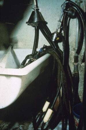 Fotografie: Melktechnik, Milchkammer, Reinigungstechnik, Melkzeug