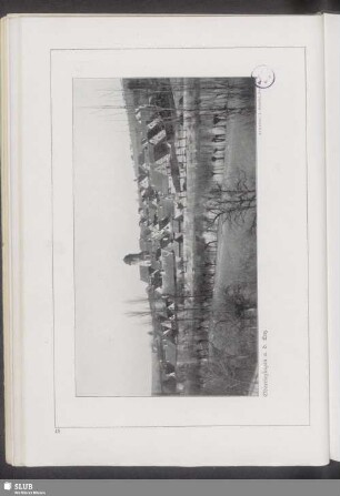 Oberriexingen a. d. Enz