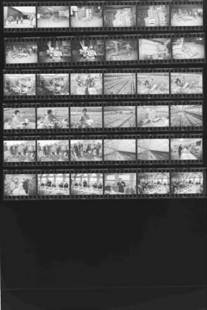 Pro Sanita '91 - Internationale Ausstellung für Gesundheit und Natur, 26.04.-01.05.1991, Messe Stuttgart-Killesberg: Pressekonferenz