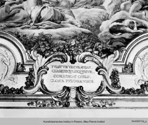 Allegorie des Ruhmes : Allegorie des Ruhmes, Stuckdetails