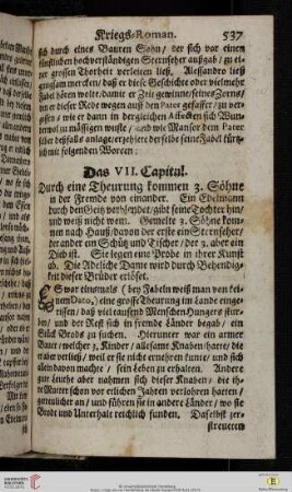 Das VII. Capitul