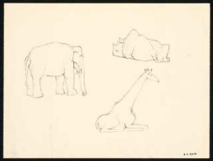 Zeichenübungen und Skizzen: Skizze mit Elefant, Giraffe und Nashorn