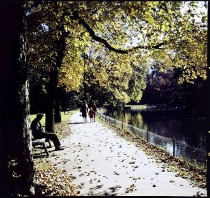 Donaueschingen: Herbst im Schloßpark, rechts Teich