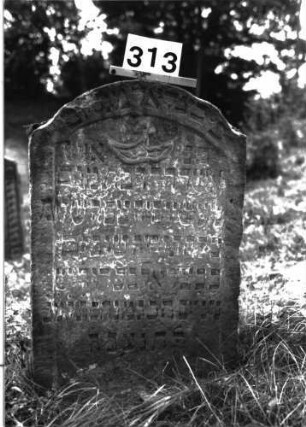 Grabstein 313