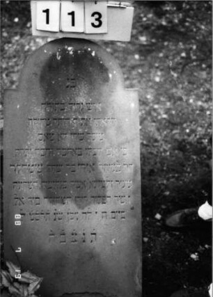 Grabstein 113 (Index: 100094205) Material: Sandstein Zustand: unten abgeblättert Maße HxBxT: 99x47x6 cm Beschreibung: Stele, eingezogener Rundbogenabschluß: Grabstein 113
