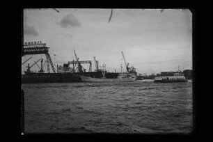 Therese Horn (1957), H.C. Horn, Hamburg
