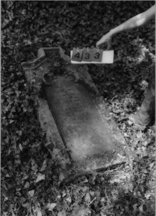 Grabstein 433 (Index: 99792007) Material: Sandstein Zustand: gut, Stele liegend Maße HxBxT: 113x64x19 cm Beschreibung: Stele, eingezogener giebelartiger Abschluß, rechteckig erhöht mit Verdachung, Schriftfeld eingetieft mit Rundbogenabschluß Symbolik: Rundbogenfries, Blüte: Grabstein 433