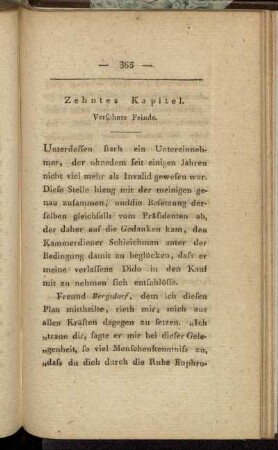 Zehntes Kapitel. Versöhnte Feinde.