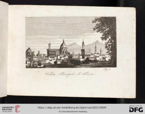 Veduta Principale di Firenze
