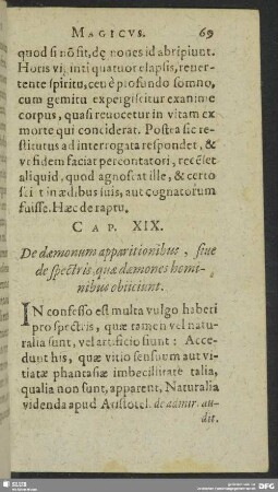 Cap. XIX. De daemonum apparitionibus, sive de spectris, quae daemones hominibus obiiciunt