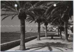 Menton